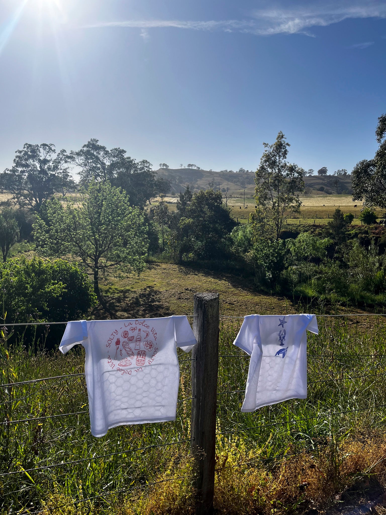 Two white tshirts hanging on a country fence